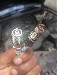Regular maintenance basic tune up